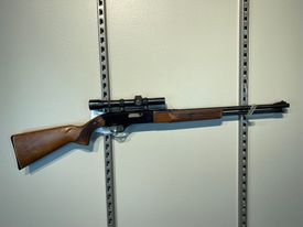 Winchester 290 22LR