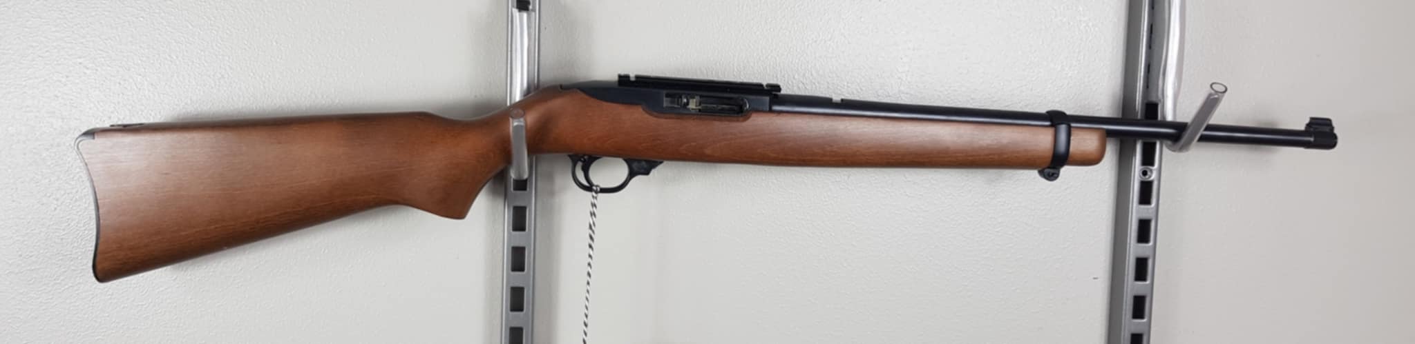 Ruger 1022 Standard 22LR 246990
